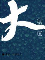 大项目