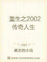 重生之2002传奇人生